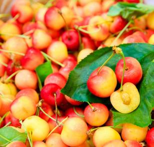 Mua cherry ở đâu tại Hà Nội