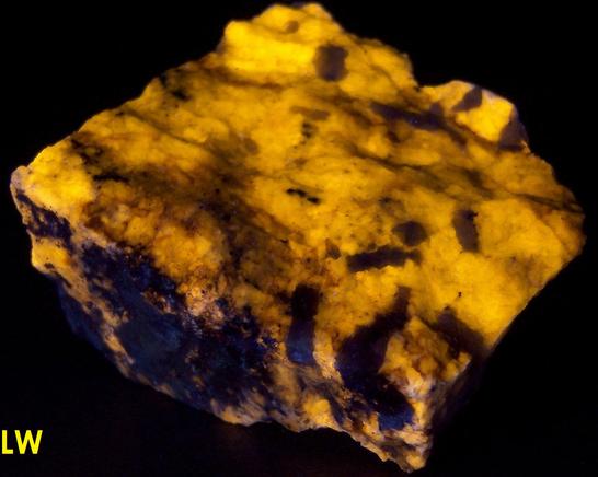 fluorescent SCAPOLITE WERNERITE Meionite-Marialite, TREMOLITE, Pyrite – Grenville Scapolite Prospect, Grenville-sur-la-Rouge, Argenteuil RCM, Laurentides, Quebec, Canada - ex Alan Delany SB#31-47
