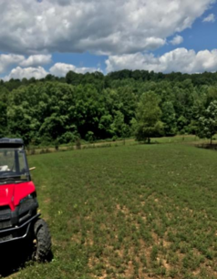 Kentucky food plot