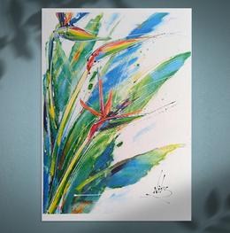 bird of paradise flowers
