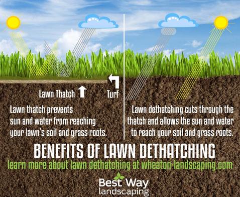 RELIABLE LAWN AERATION AND CARE IN LAS VEGAS NV