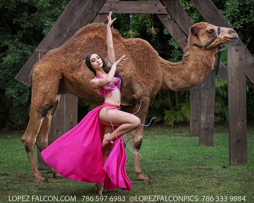 QUINCE MIAMI QUINCES PHOTOGRAPHY CAMEL