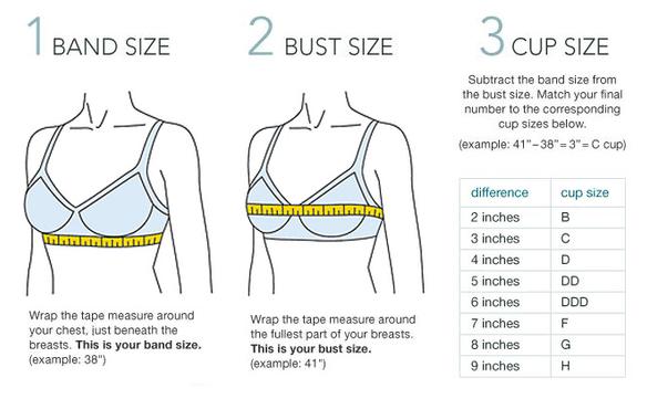 How To Measure Your Bra Size