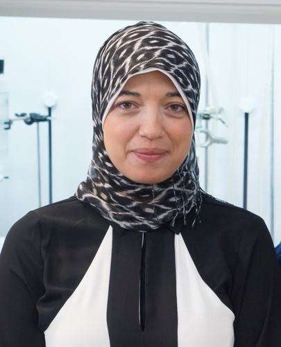 Sherine M. Abdelmawla, PhD