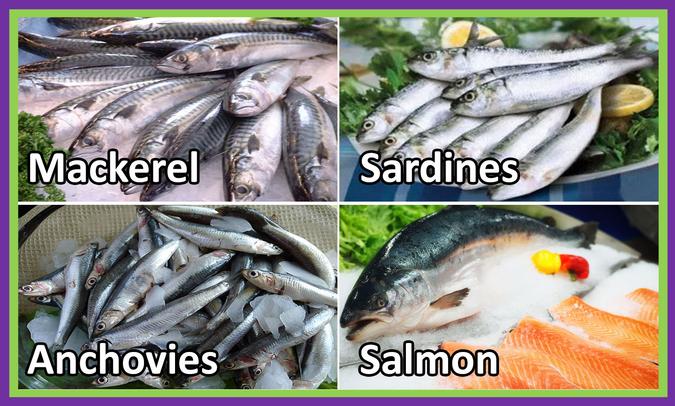 Mackerel, Sardines, Anchovies, Salmon