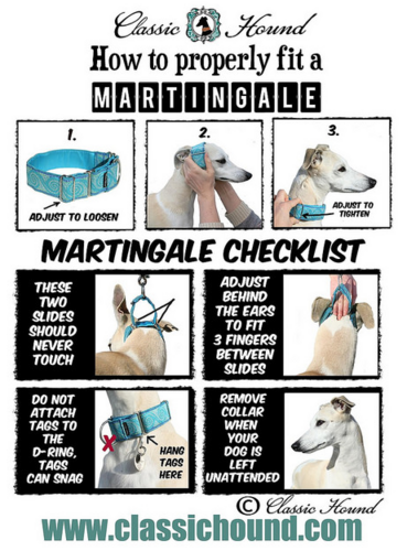 Recommended supplies for your Greyhound