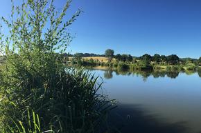 Lake 6