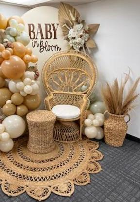 PINK THRONE CHAIR GENDER REVEAL package