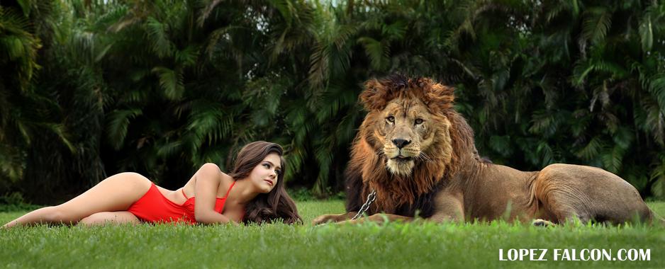 LION QUINCES QUINCES PHOTOGRAPHY WITH LION & TIGER QUINCEANERA CON LEON MIAMI QUINCES MIAMI FL USA