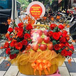 Bán hoa quả nhập khẩu tại Hà Đông