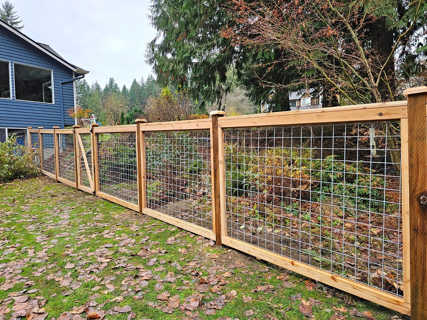 Hog panel hotsell dog fence