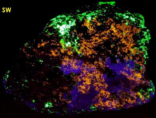 fluorescent HARDYSTONITE, CLINOHEDRITE, FLUORAPATITE, Willemite, Franklinite, Calcite, Diopside Schefferite, Andradite, Franklin Mine, Franklin, Franklin Mining District, Sussex County, New Jersey, USA