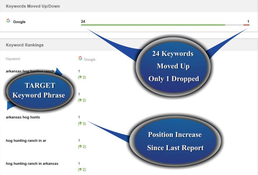 Summary Keyword Research Report