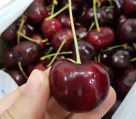 cherry Mỹ tại quận Ba Đình, Hà Nội