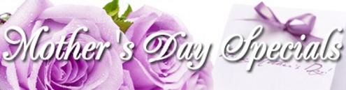 Mothers Day Limousine Party Bus Rental