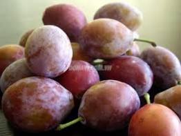 Bán mận khủng long Mỹ