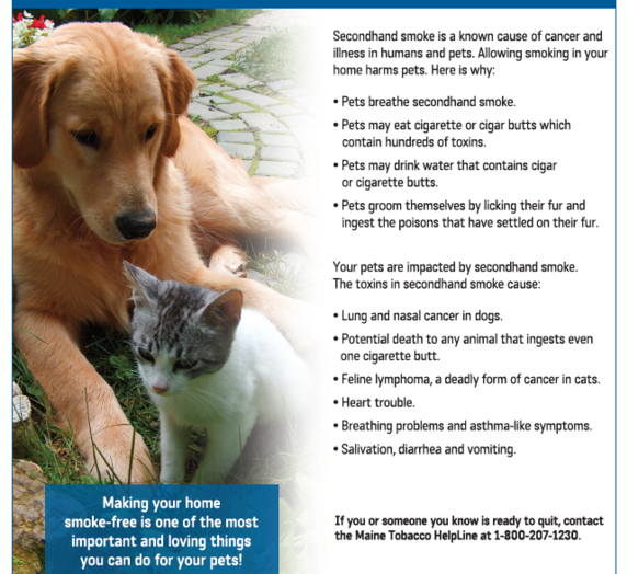 Smoking Cessation Retreat Smoking Cessation Wellness Retreat