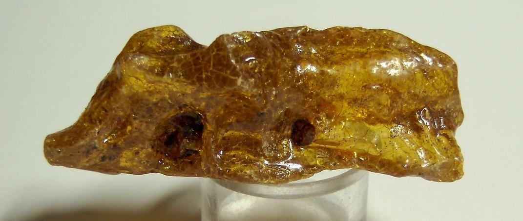 Fluorescent golden AMBER - Dominican Republic, ex Sue MacInnis