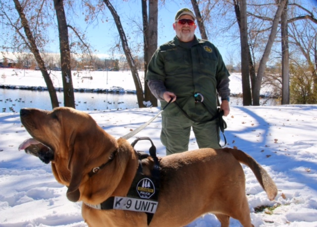 Best harness shop for bloodhounds