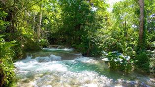 "Mayfield Falls Tour, Experience Jamaica's Natural Beauty"