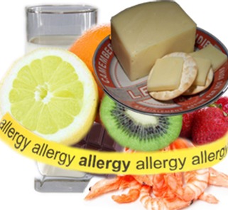 Food Allergies and Bio-Individuality 