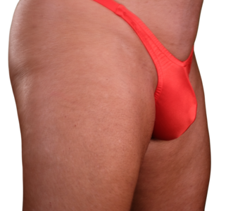 Men's Spandex Bikini