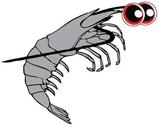 Bountiful Seines shrimp logo with big red eyes