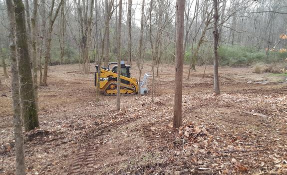 Land Clearing - Forestry Mulching