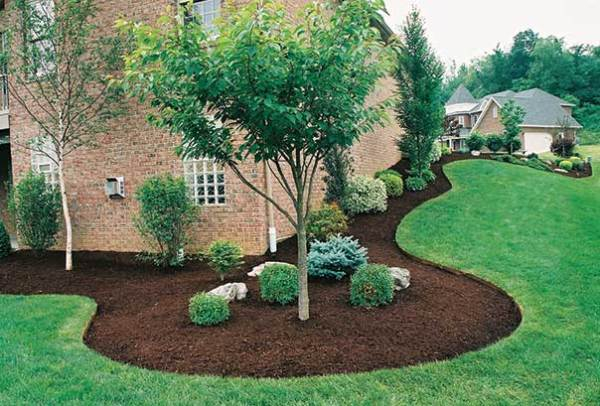 Flores Tree Service In Richmond Landscape In Richmond Flores Tree Service Landscape In Richmond Va Tree Removal In Richmond Corte De Pasto En Richmod Corte De Arboles En Richmond Tree Removal