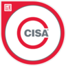 CISA Job Practice Areas