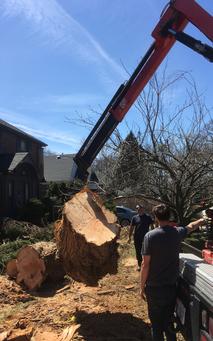 Large pieces storm damage clean up dundas Ontario, Hamilton tree services