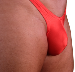 Men's Swimwear Brief