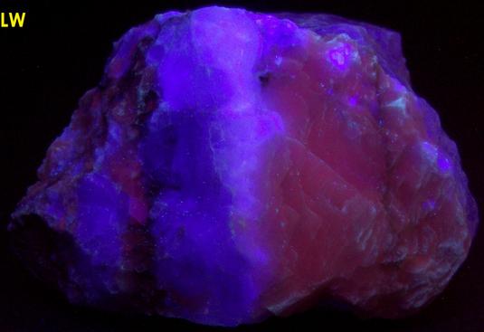 SW LW fluorescent FLUORITE and CALCITE – Nuevo Leon, Mexico