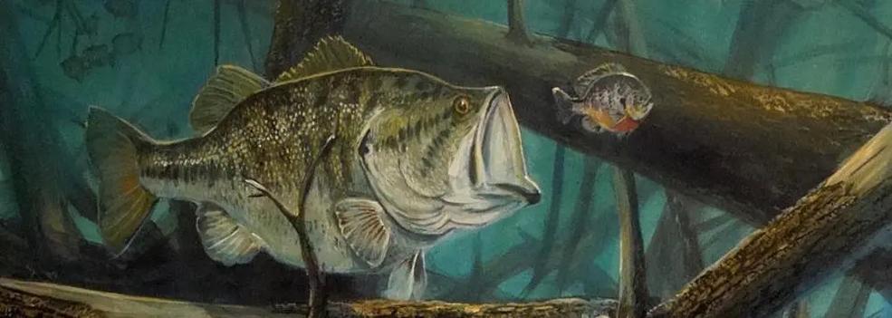 Bridgemaster Fishing Products' largemouth bass underwater picture