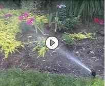 irrigation video