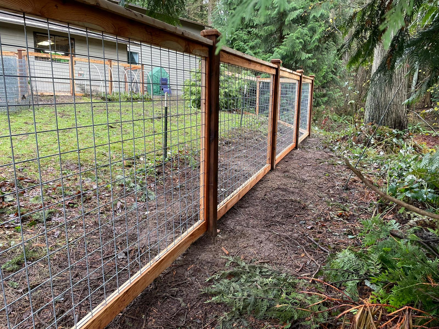 Contemporary Hog Wire Trellis