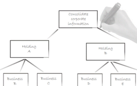 Consolidación Financiera