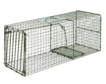 Single Door Cage Trap for raccoon, cat and armadillo