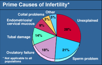 Prime causes of PCOS