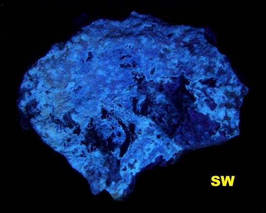 FL Deweylite Magnesite-Goat Hill Magnesia Quarries, Pennsylvania