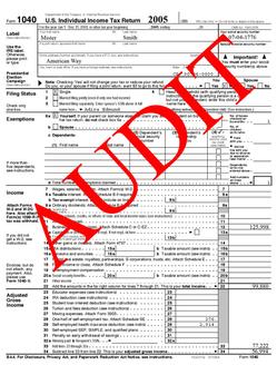 irs audit