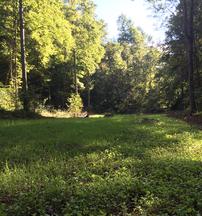 Best Kentucky food plots