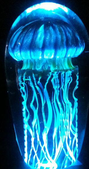 Glass Jellyfish