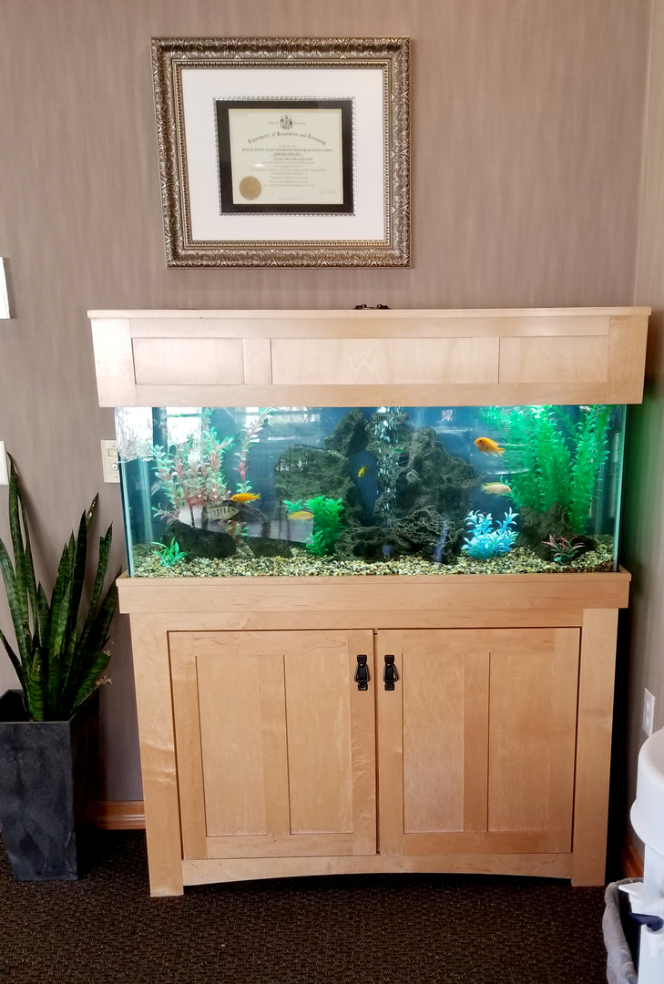 Custom 2024 aquarium stands