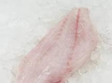 Grouper Fillets