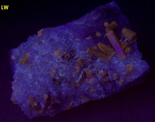 fluorescent brown Pyromorphite crystals, Quartz, golden Pyrite,Tetrahedrite, Level 200, Pcheloyad Mine (Pchelojad; Ptchelojad; Pcheloiad), Momchilgrad Obshtina, Kardzhali Oblast (Kurdzhali; Kărdžali; Kurdjali), Bulgaria