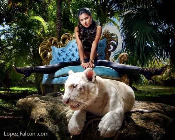 Exotic Photo Shoot With Baby Tiger QUINCEANERA