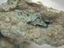 CHALCOCITE and CHRYSOCOLLA in PREHNITE - Chimney Rock quarry, Houdaille Industries Quarry; The Bound Brook Quarry; Stavola Industries Quarry, Bridgewater, Somerset county, New Jersey