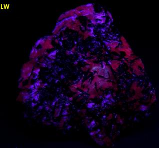 PYROCHLORE, MAGNETITE, Aegirine-Augite, fluorescent Calcite, Oka complex, Oka, Deux-Montagnes RCM, Laurentides, Québec, Canada, ex Adrian Labuz, 1965