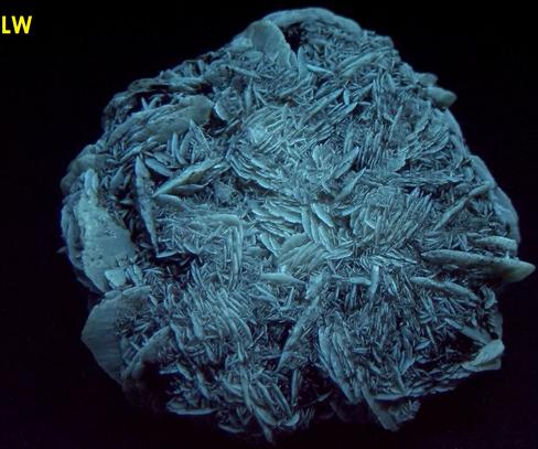 fluorescent phosphorescent GYPSUM SELENITE, Red River floodway, Winnipeg, Manitoba, Canada